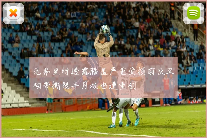 范弗里特透露膝盖严重受损前交叉韧带撕裂半月板也遭重创
