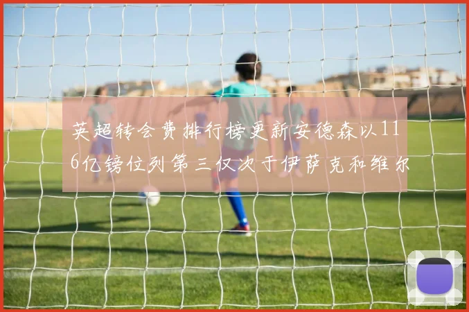 英超转会费排行榜更新安德森以116亿镑位列第三仅次于伊萨克和维尔茨